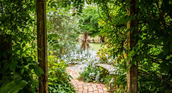 allée de jardin en pavés